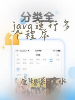 java运行多个程序
