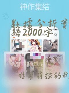 数据分析实习总结2000字