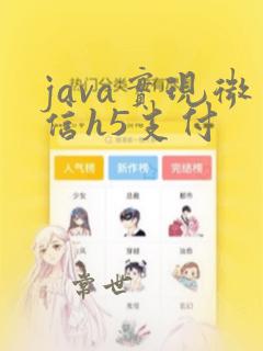 java实现微信h5支付
