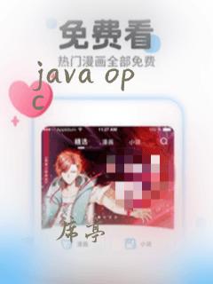 java opc