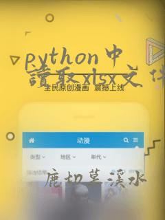 python中读取xlsx文件