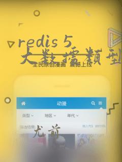 redis 5大数据类型