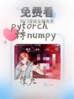 pytorch 转numpy