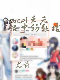 excel单元格中的数据可以是
