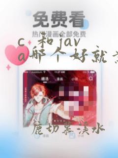 c  和java哪个好就业