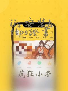 iis 安装https证书