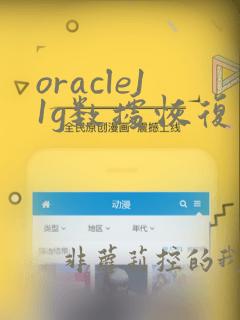 oracle11g数据恢复