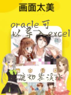 oracle可以导入excel文件吗