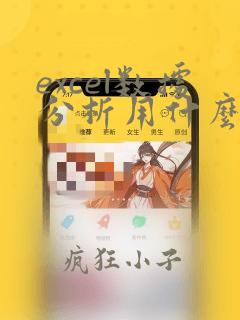 excel数据分析用什么软件