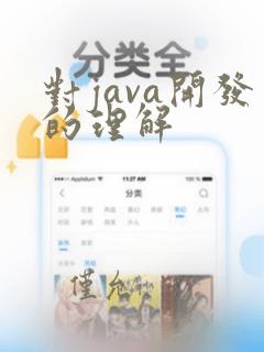 对java开发的理解