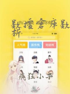 数据仓库数据分析