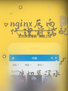 nginx反向代理前端配置