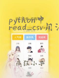 python中read_csv用法
