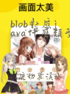 blob对应java什么类型