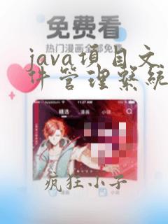 java项目文件管理系统
