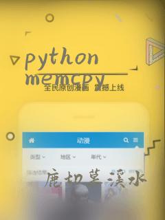 python memcpy