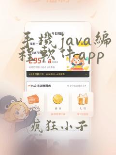 手机java编程软件app