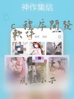 c  程序开发软件