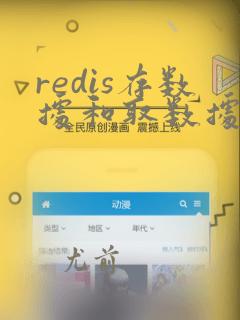 redis存数据和取数据