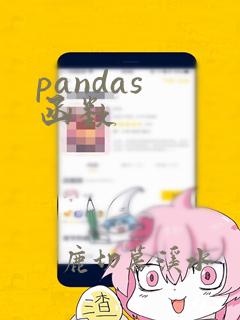 pandas 函数