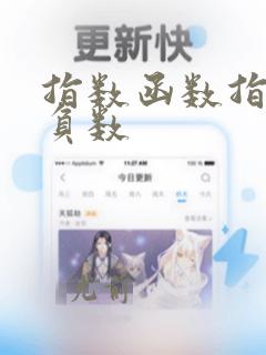 指数函数指数为负数