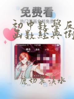 初中数学反比例函数经典例题