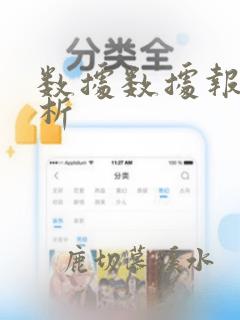 数据数据报告分析