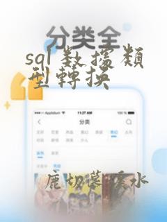 sql 数据类型转换