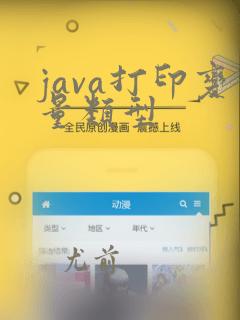 java打印变量类型
