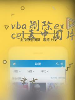 vba删除excel表中图片