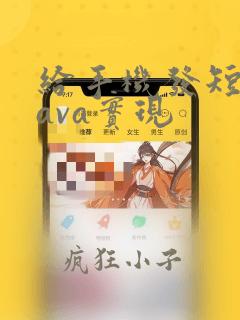 给手机发短信java实现