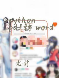 python pdf转 word