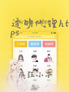 透明代理https