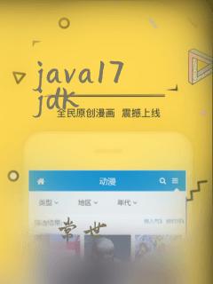 java17 jdk