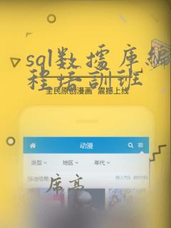 sql数据库编程培训班