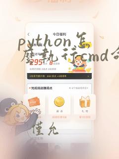 python怎么执行cmd命令