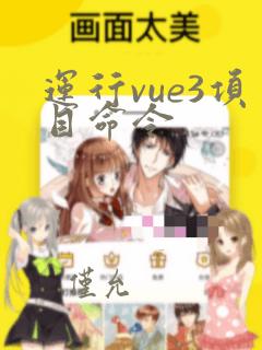 运行vue3项目命令