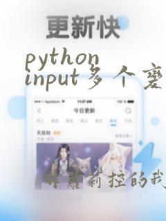 python input多个变量