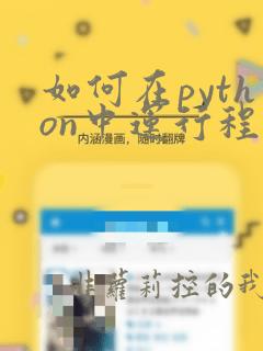 如何在python中运行程序