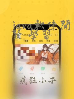 java软件开发 学习