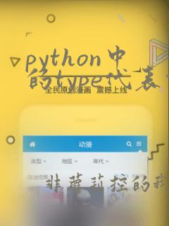 python中的type代表什么