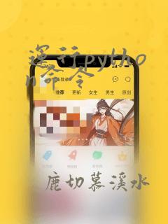 运行python命令
