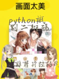 python识别二维码