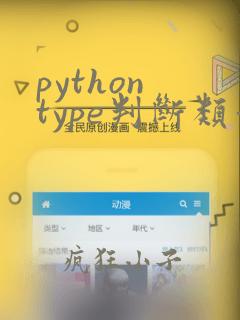 python type判断类型