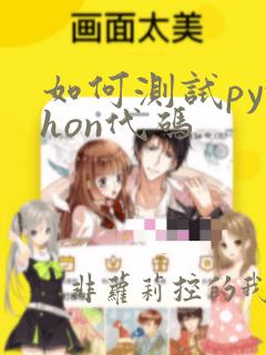 如何测试python代码