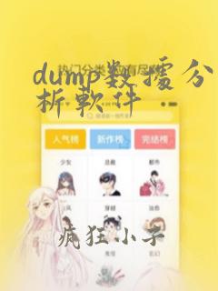dump数据分析软件