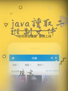 java读取二进制文件