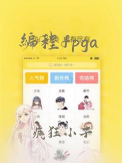 编程fpga