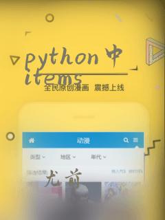 python中items