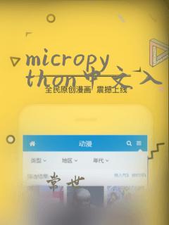 micropython中文入门指南